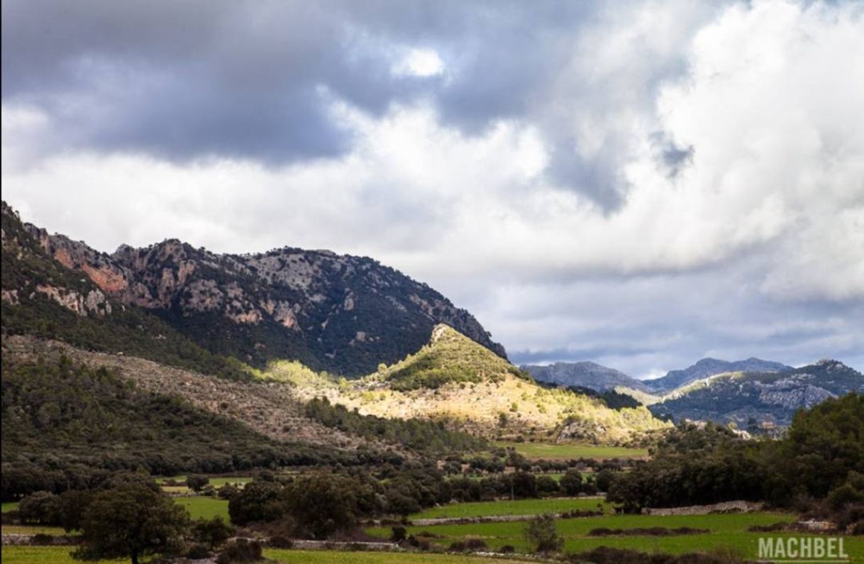 Sierra de Tramontana