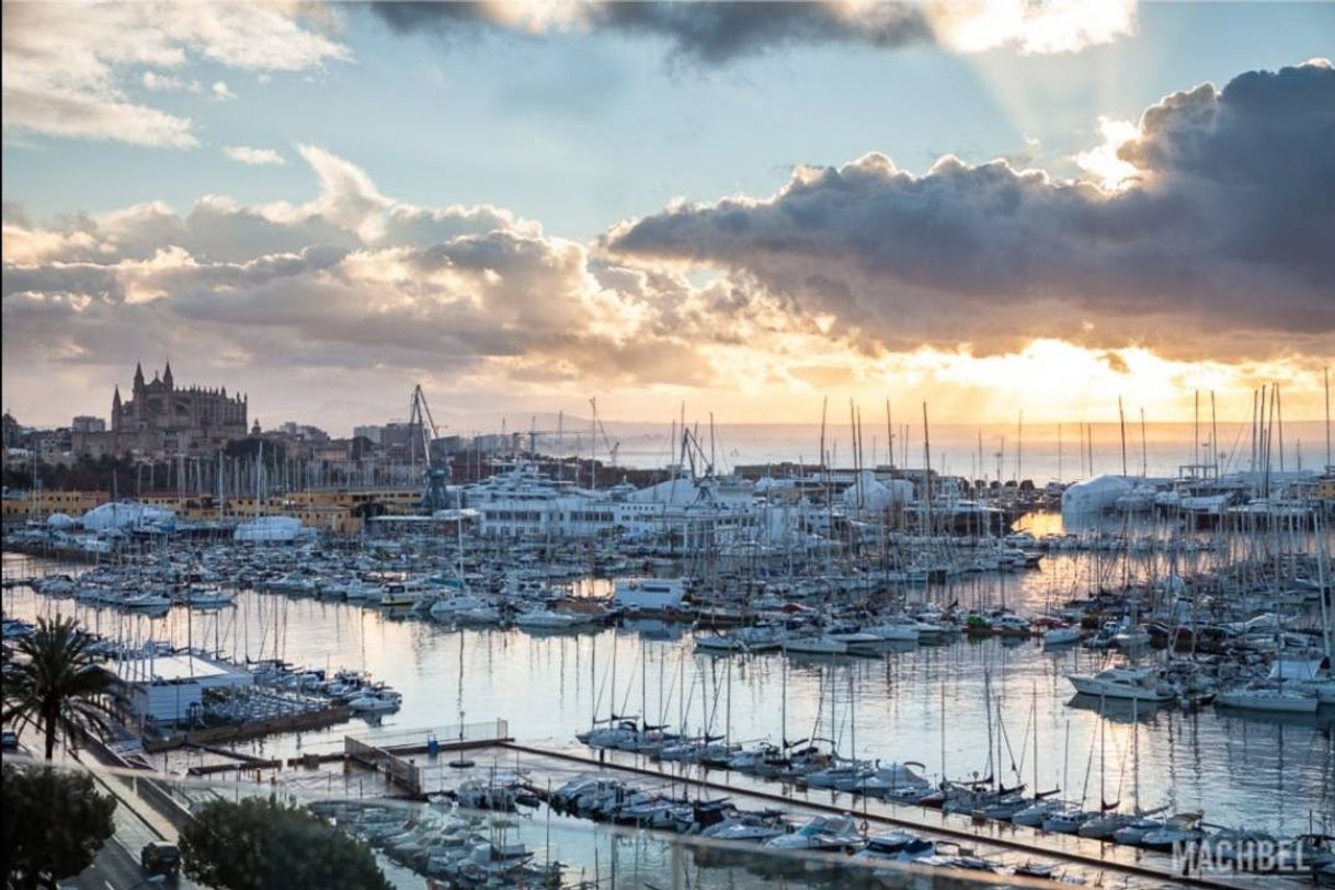 Lugar Puerto de Palma de Mallorca