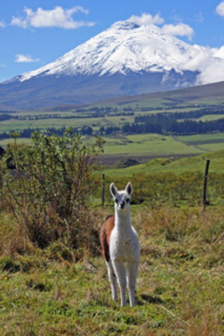 Lugar Parque Nacional Cotopaxi