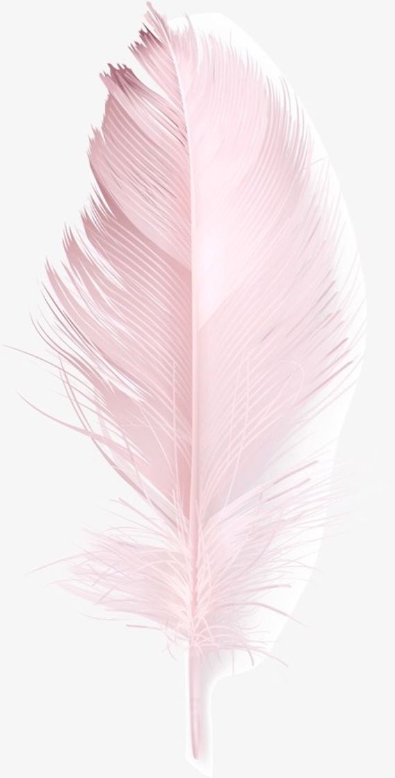 Fashion Plano de fundo Pena Pink