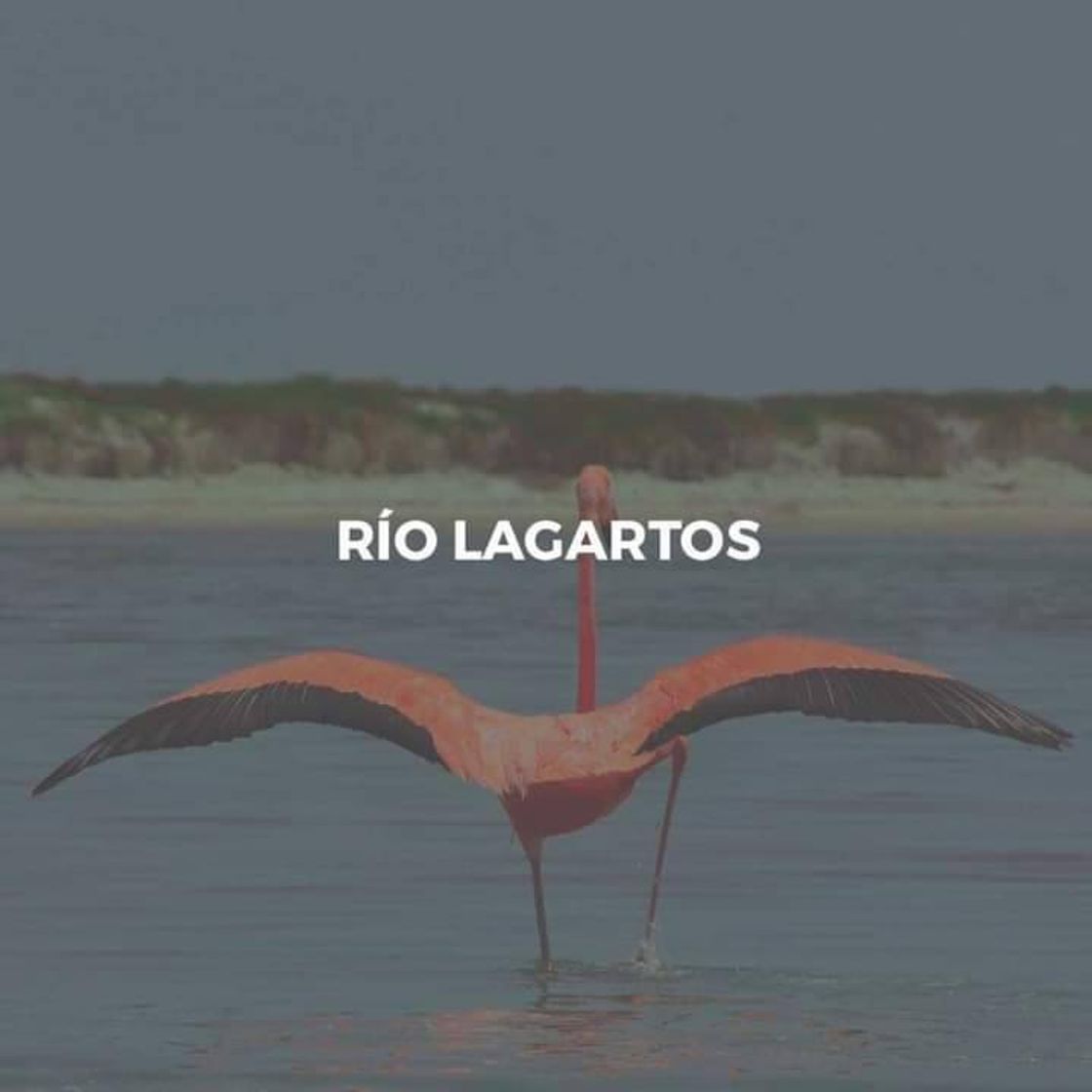 Lugar Río Lagartos