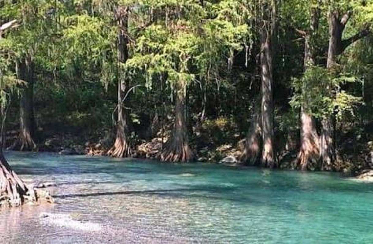 Lugar Puente Rio Ramos