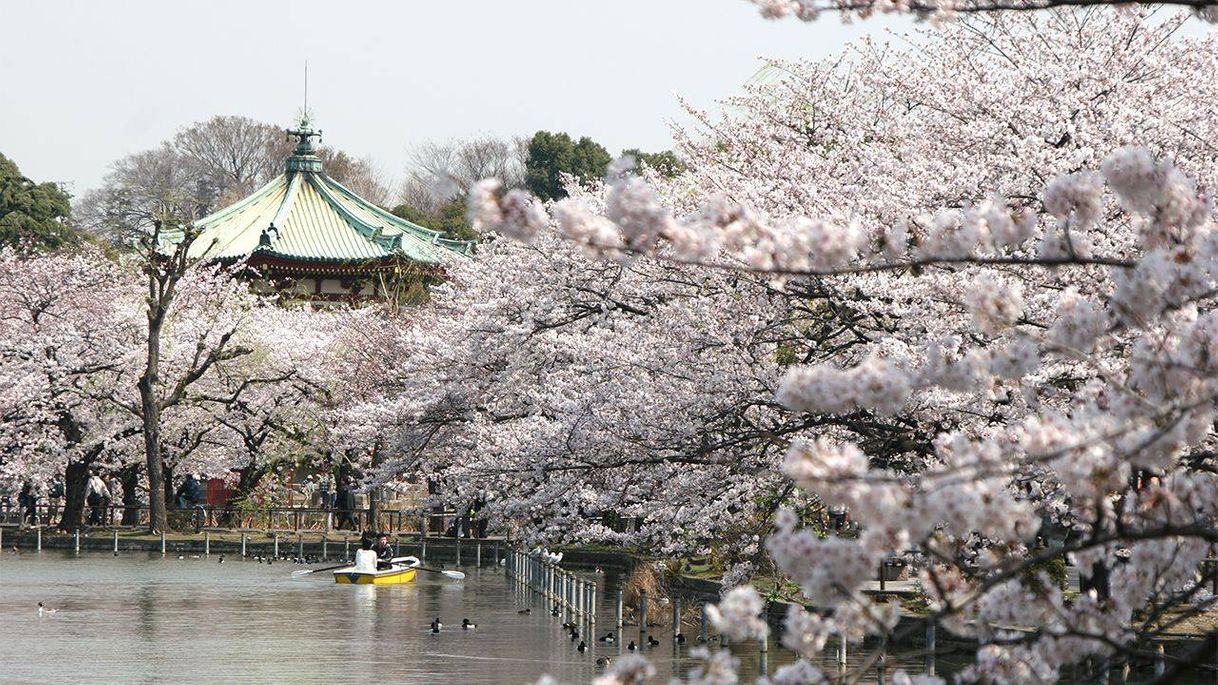 Lugar Ueno-Park