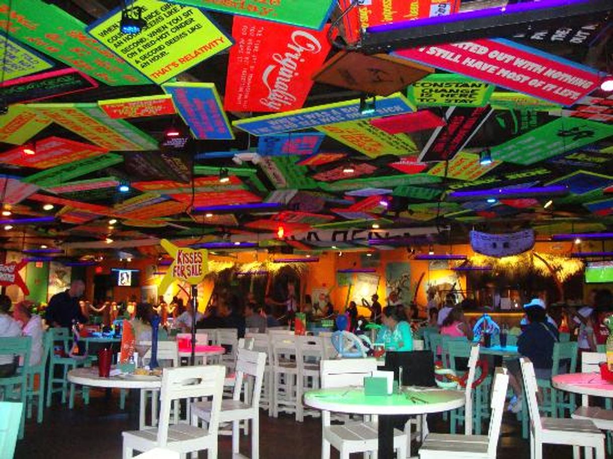 Restaurantes Señor Frog's