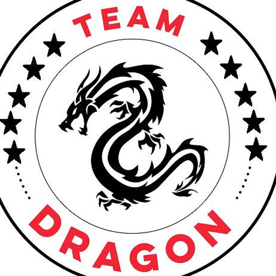 Serie TEAM DRAGÓN 