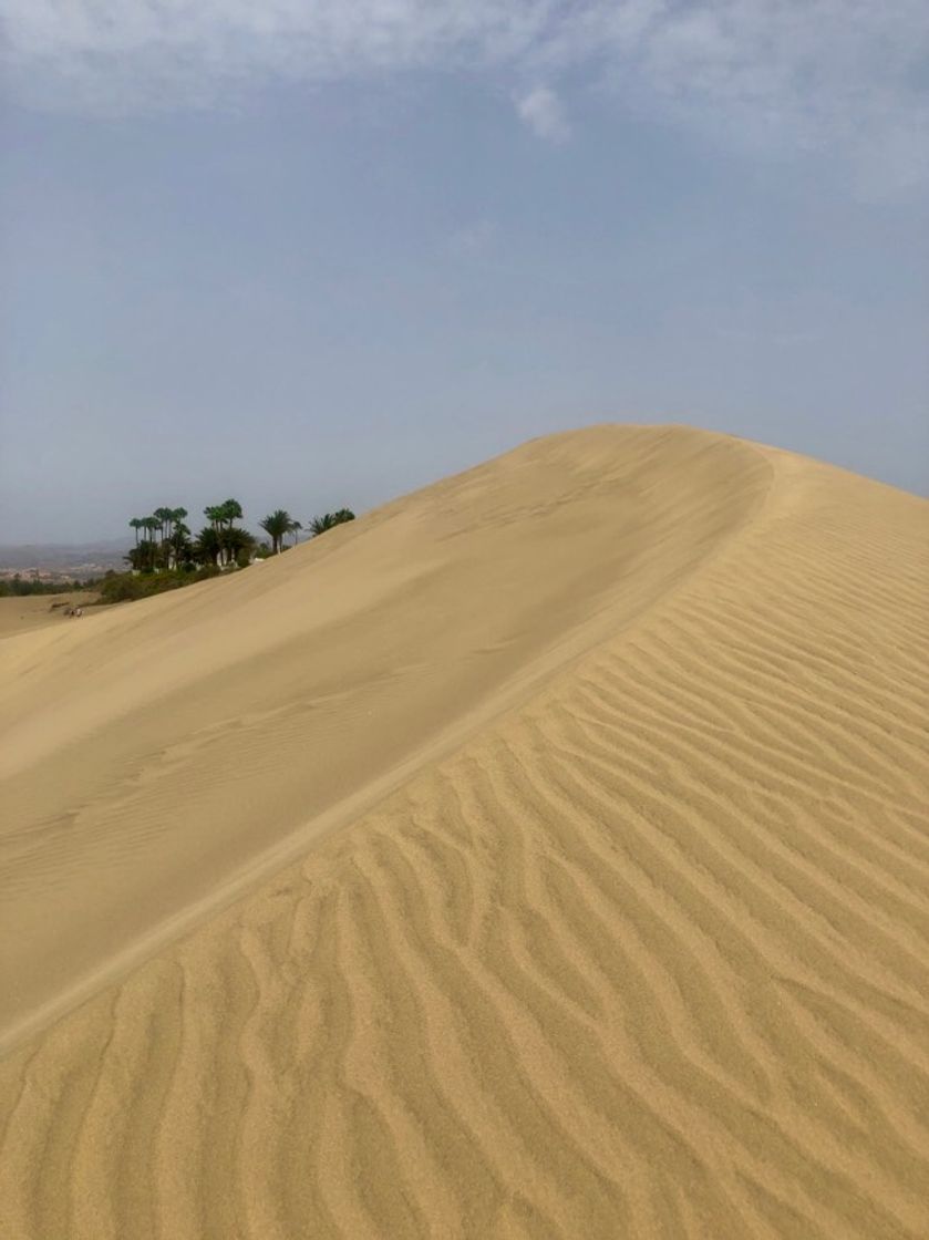 Lugar Dunas de Maspalomas