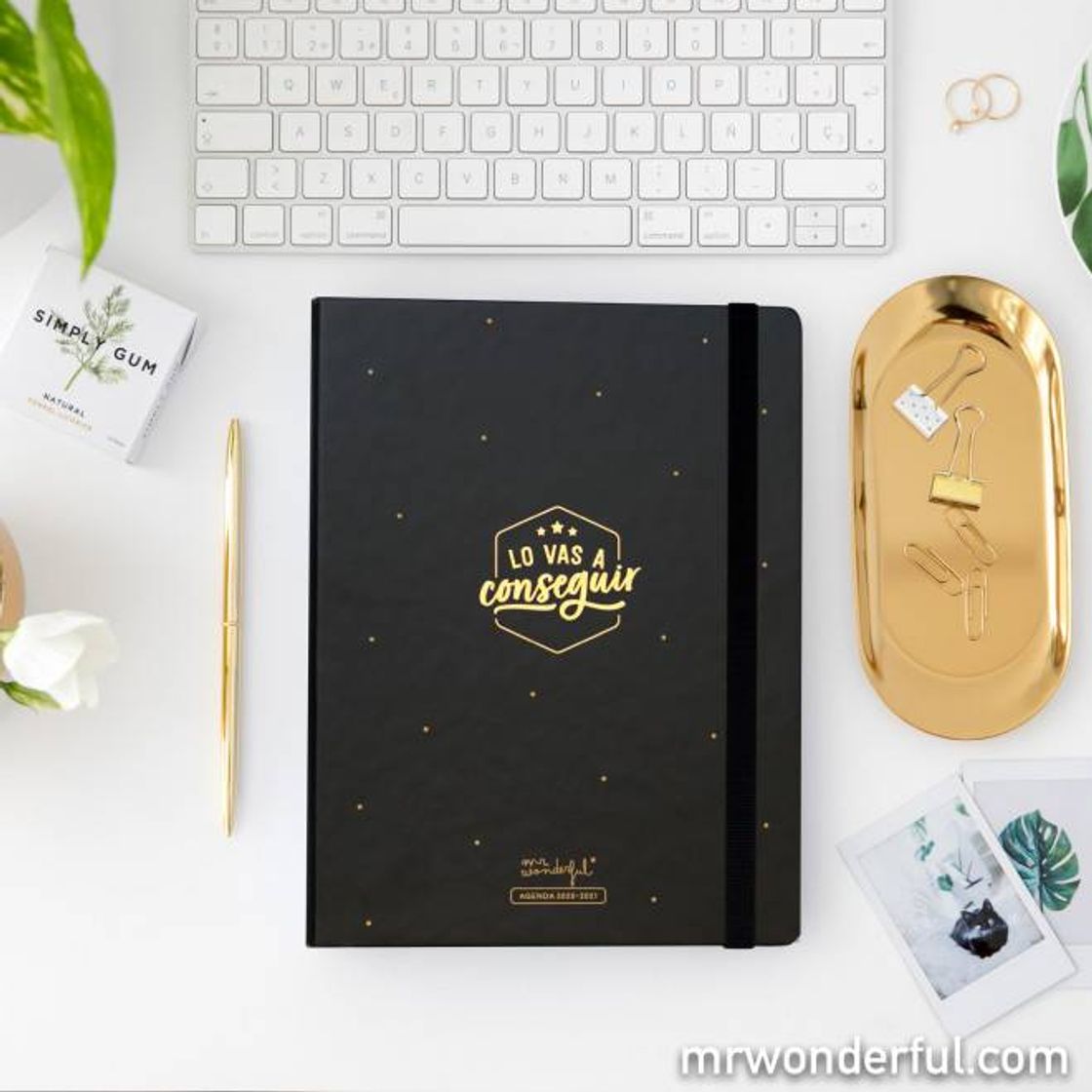 Social Agendas Mr. Wonderful 2020-2021 - Mr. Wonderful