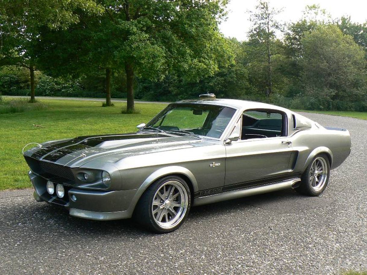 Moda Ford Shelby 