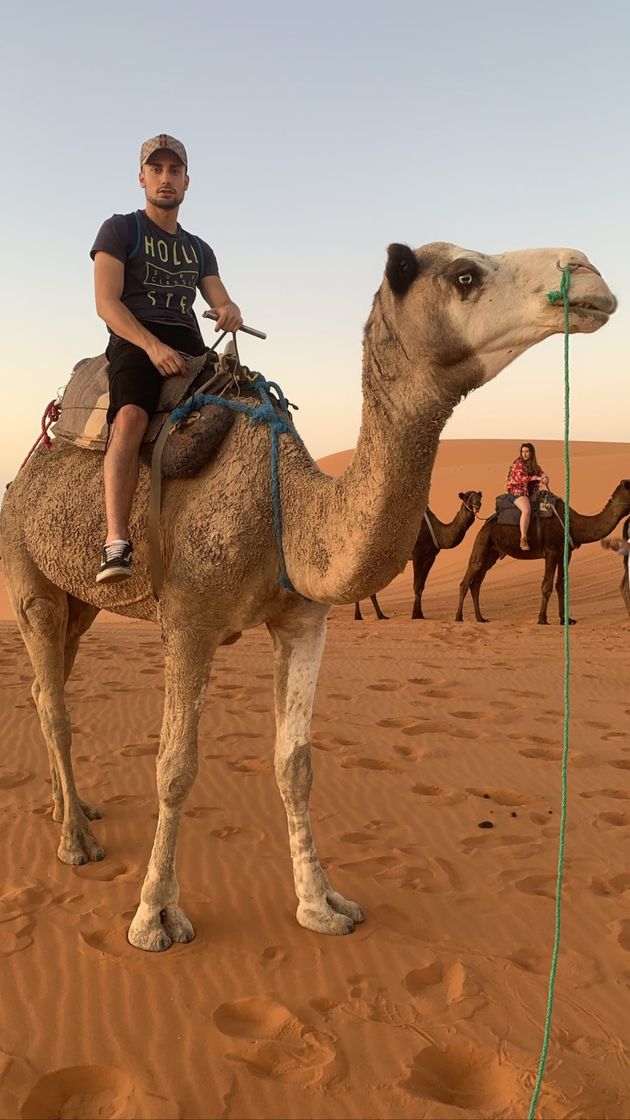 Place Merzouga Desert