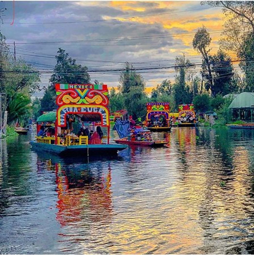 Lugares Xochimilco Tours Trajineras​​​​​​​