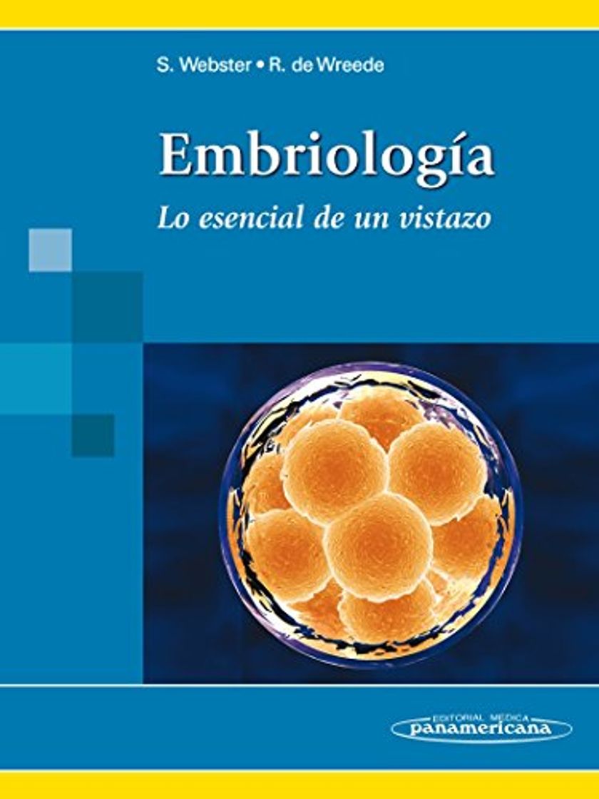 Libros WEBSTER:Embriologa: Lo esencial de un vistazo