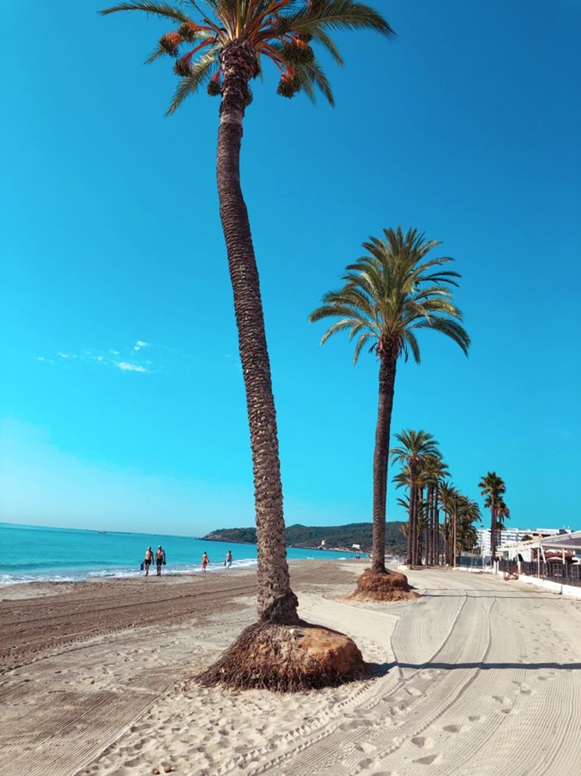 Place Playa d'en Bossa (Ibiza)