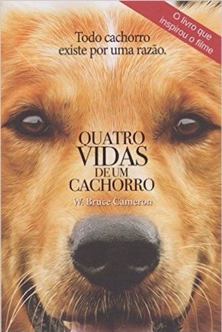 Moda Quatro vidas de um cachorro 🐕 