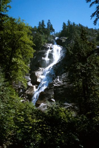 Shannon Falls Viewpoint