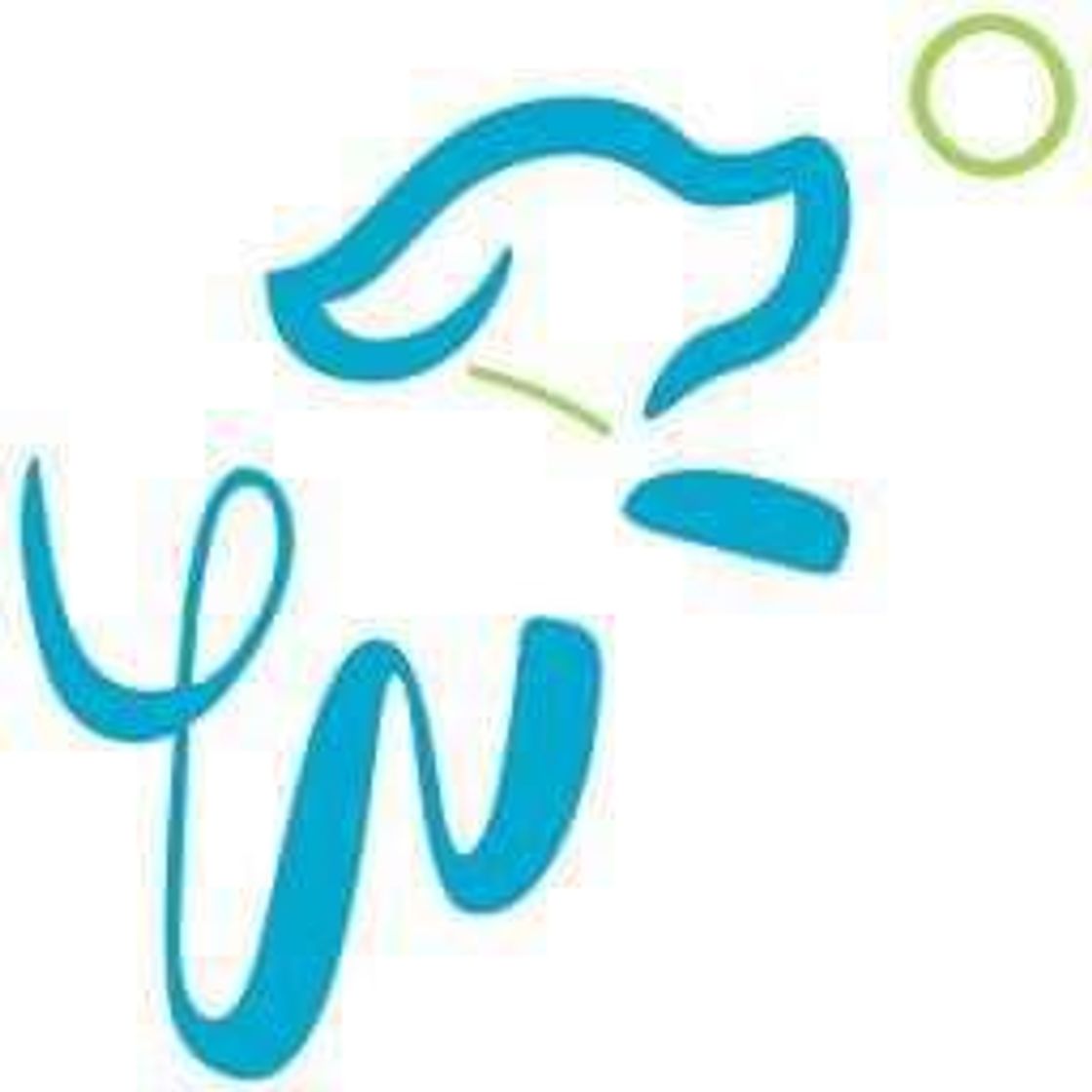 Social Sitio web, app