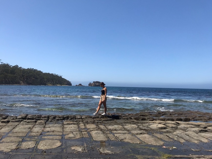 Lugares Tessellated Pavement