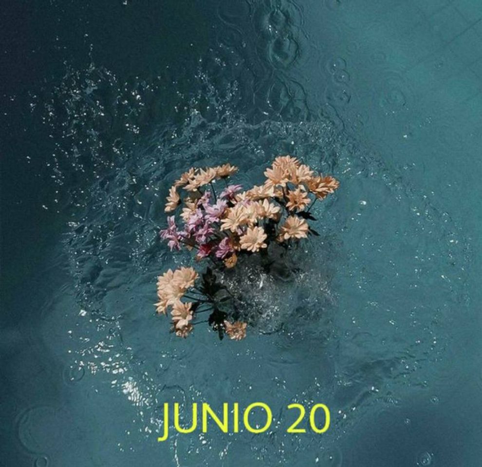 Fashion JUNIO 20