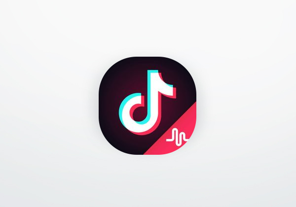 Aplicación Tik Tok