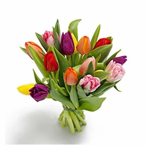 Florclick - Ramo de 15 Tulipanes con tarjeta dedicatoria gratuita