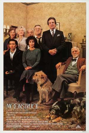 Película Hechizo de luna