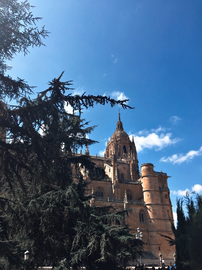 Lugar Catedral de Salamanca