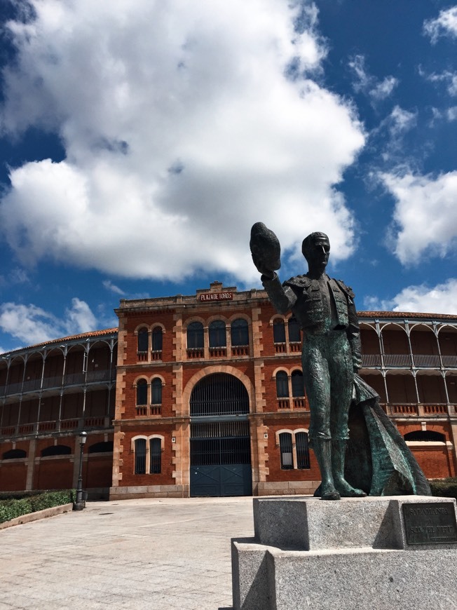 Place Plaza De Toros