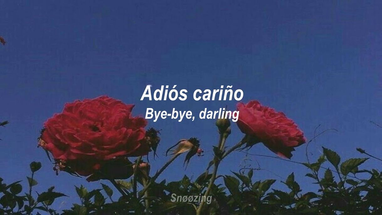 Music Bye-bye Darling