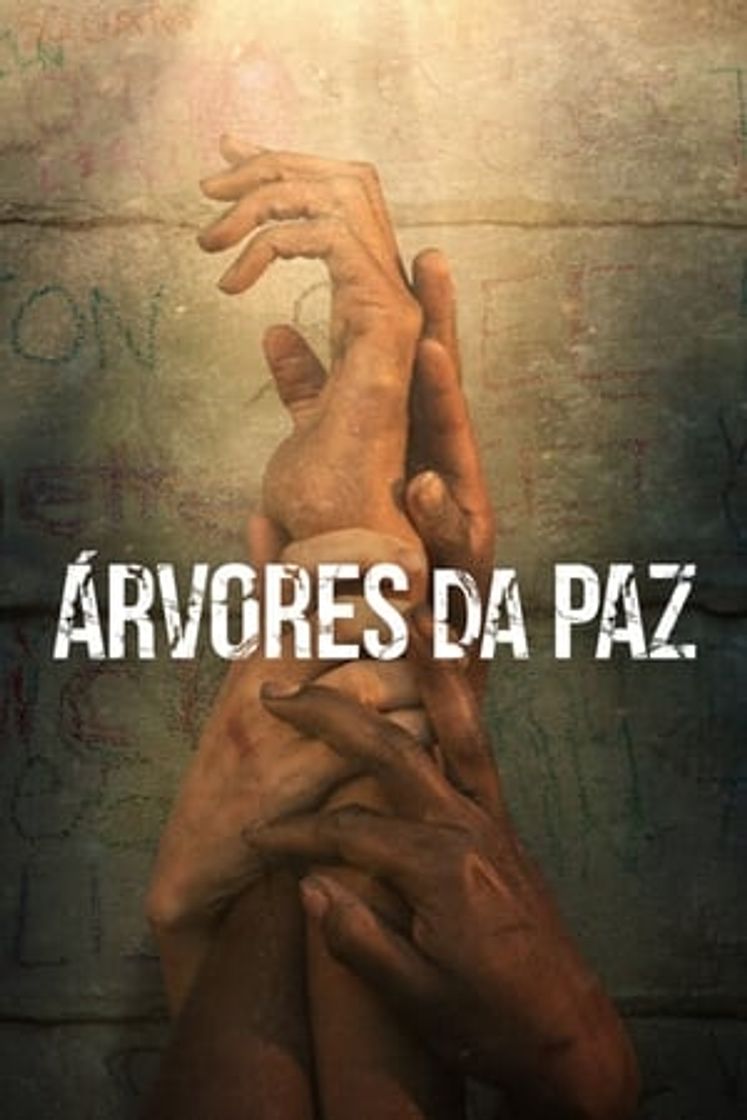 Película Los árboles de la paz