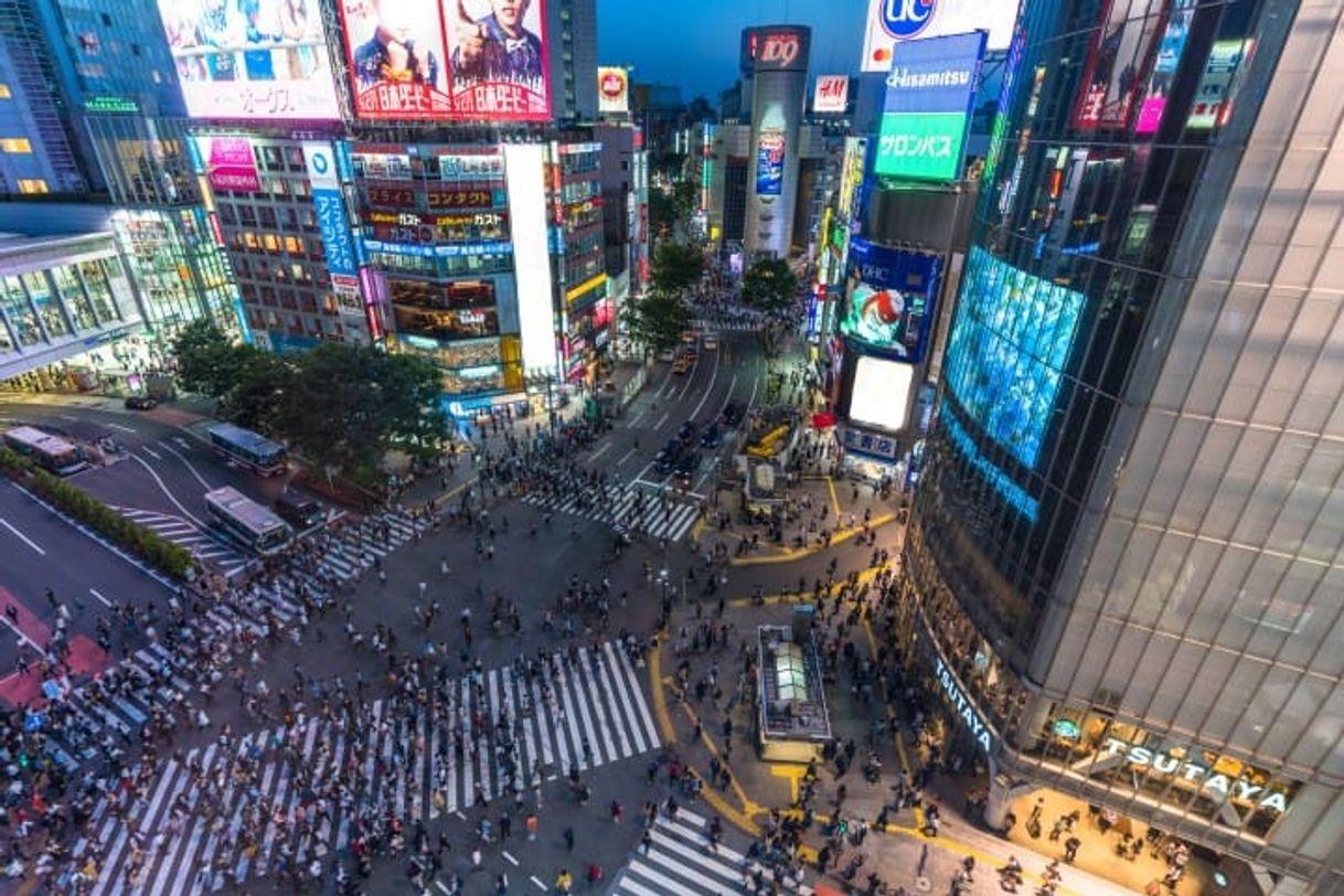 Place Shibuya Crossing