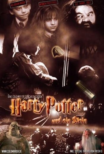 Harry Potter und ein Stein