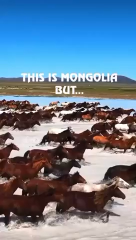 Place Mongolia