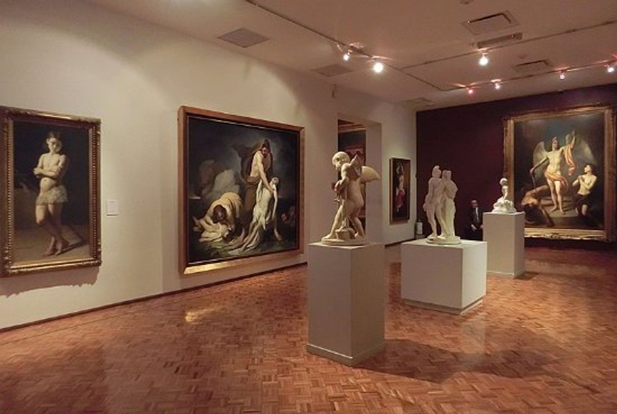 Place Museo Nacional De San Carlos
