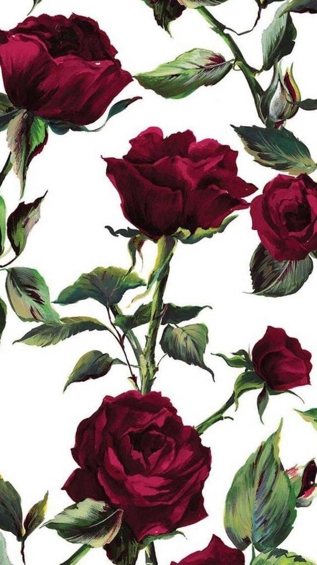 Moda Wallpaper 🌹