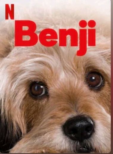 Benji | Netflix Official Site