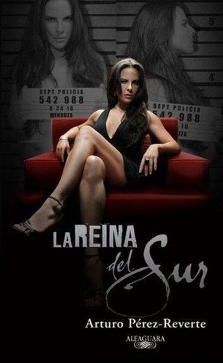 La Reina Del Sur, Watch Movies Online - Netflix