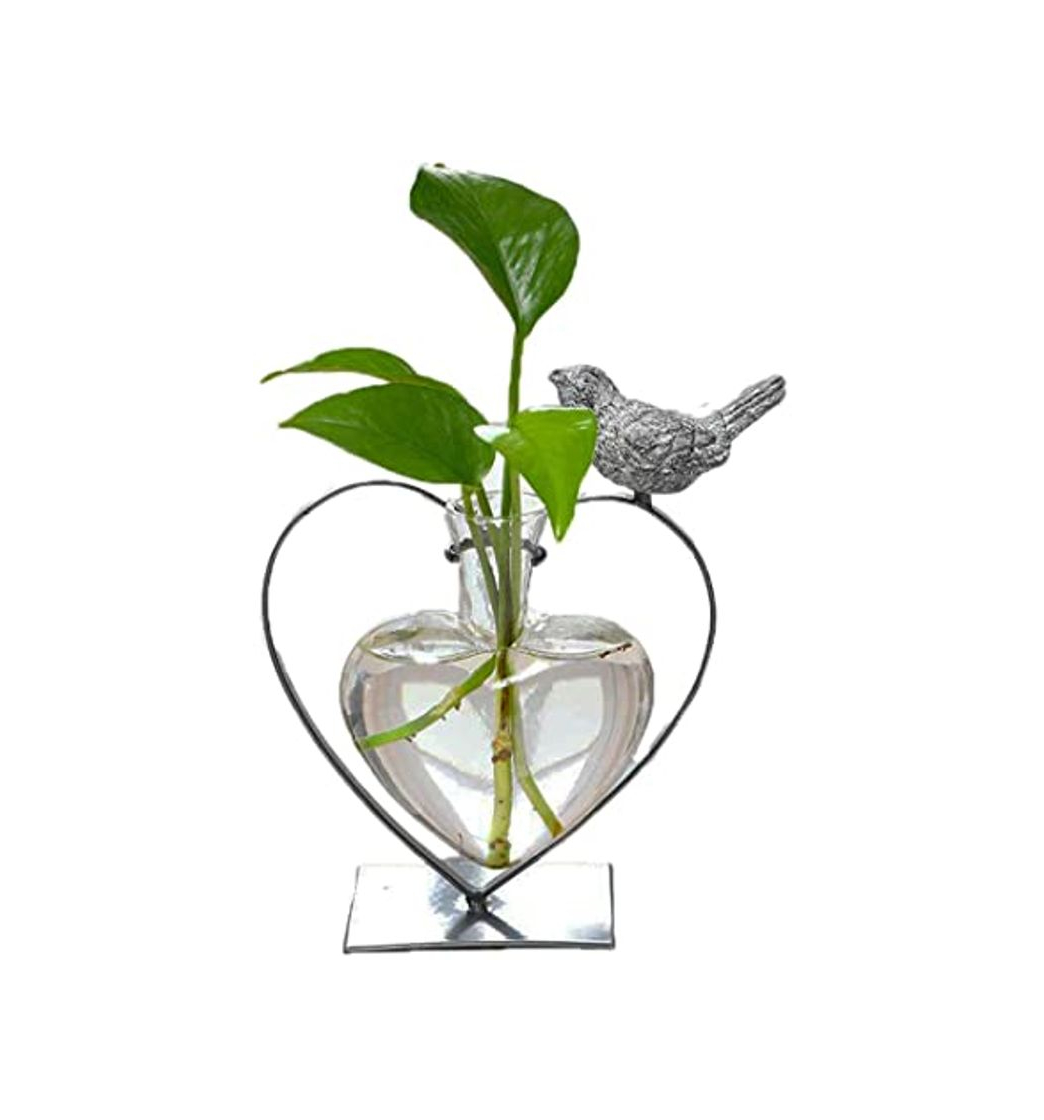 Social Maceta Decorativa Cristal Sobremesa Jarrón Plantas Hidroponicas Bombilla con Diseño de Ave