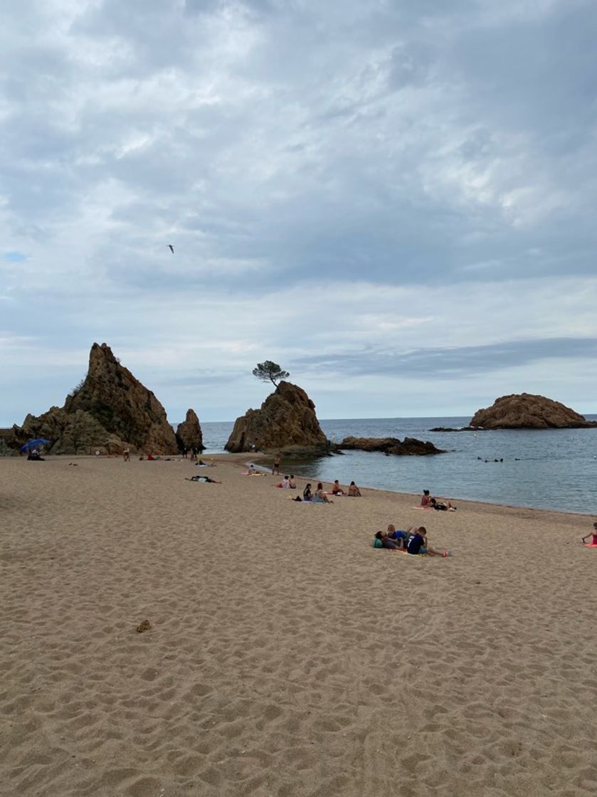 Lugar Cala Mar Menuda