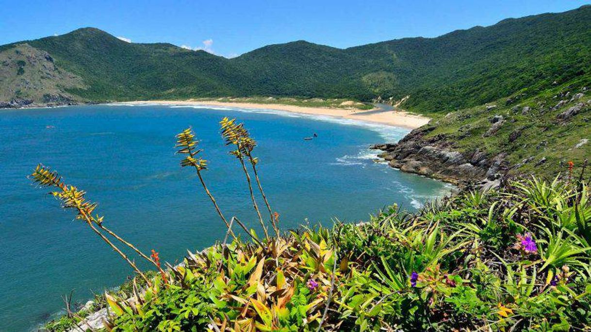 Lugares Praia da Lagoinha do Leste, Florianópolis - Santa Catarina