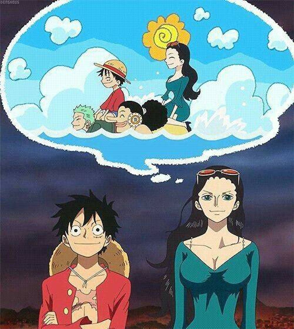 Social ONE PIECE