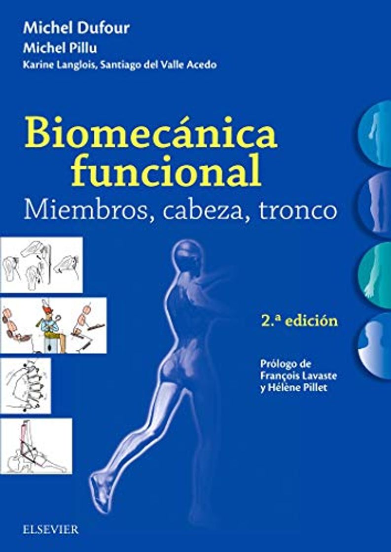 Libro Biomecánica funcional. Miembros, cabeza, tronco - 2ª edición