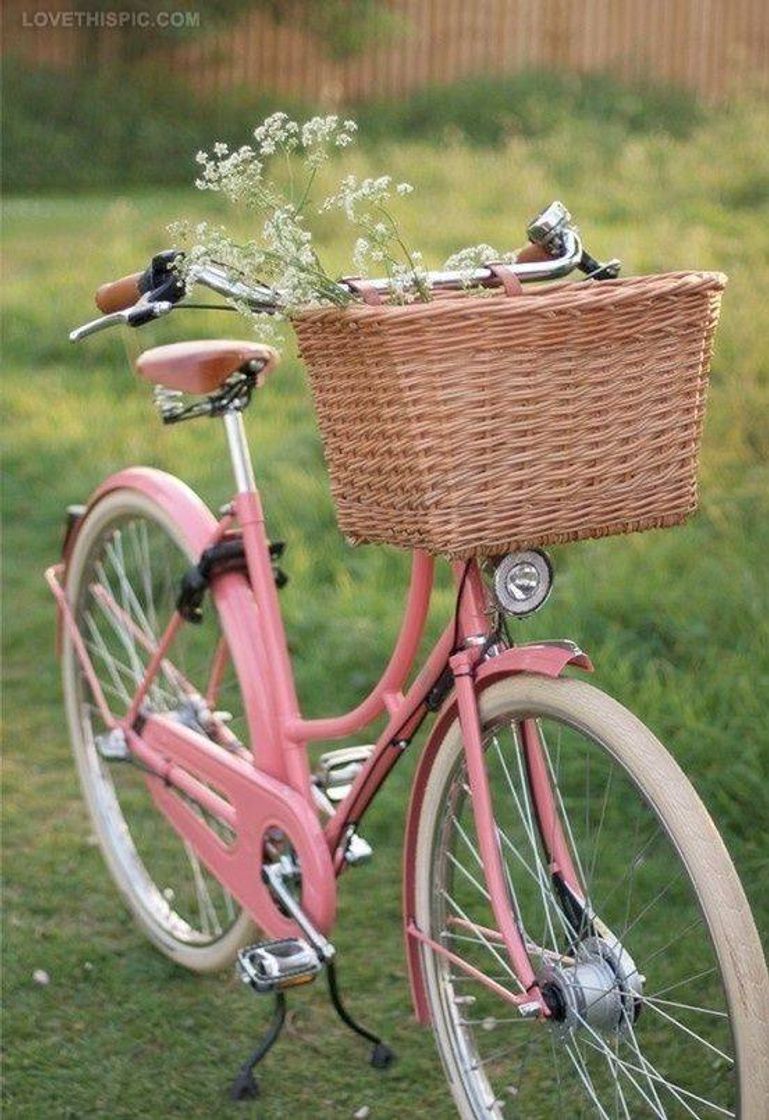 Moda Bike