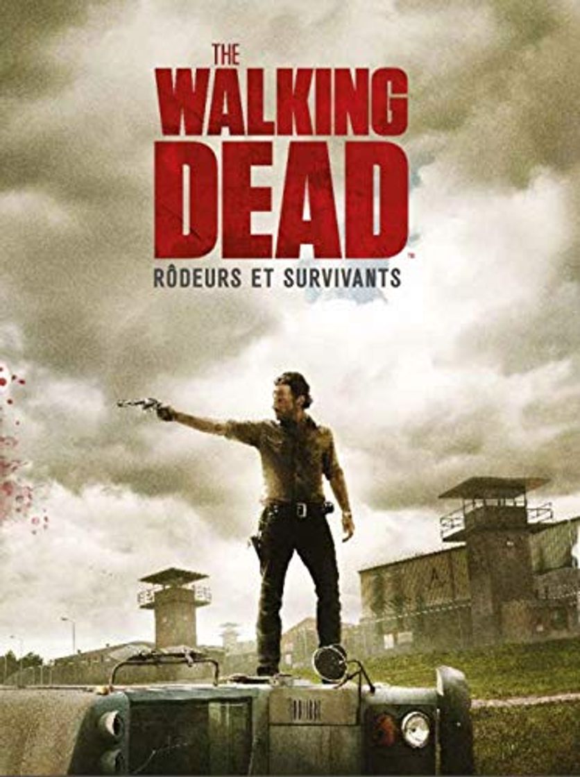 Libro WALKING DEAD LIVRE POSTERS: Rôdeurs et survivants