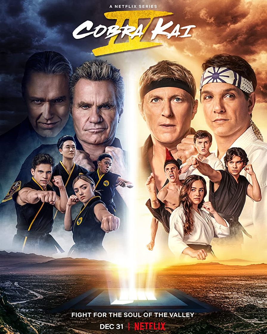 Serie Cobra kai |Netflix 