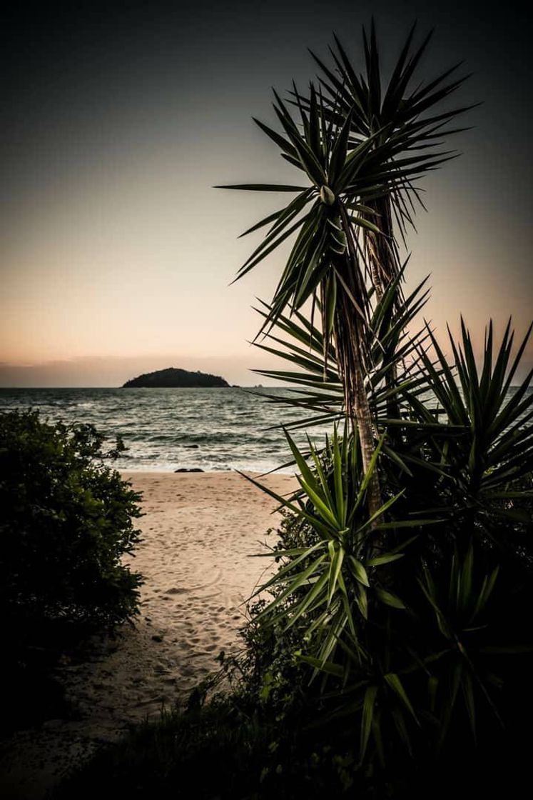 Lugar Praia da Saudade