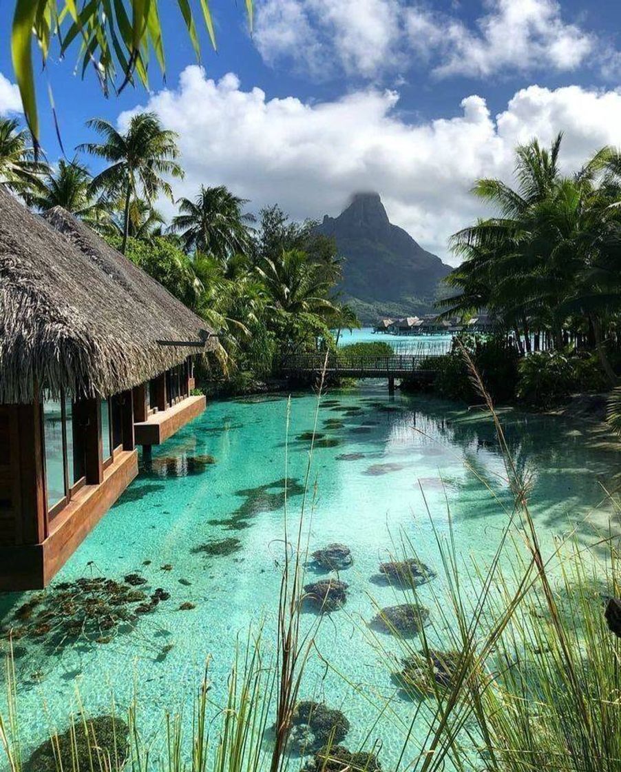 Moda Bora Bora 