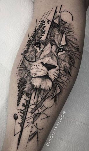 Leão 🦁