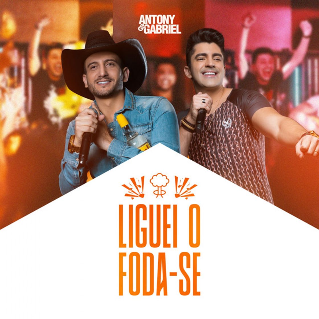 Canción Liguei o Foda-Se