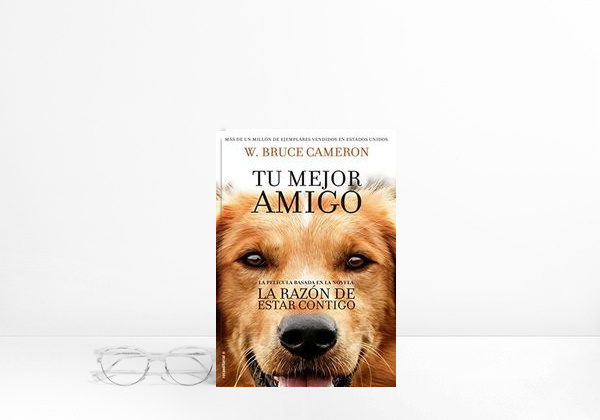 Book La razón de estar contigo