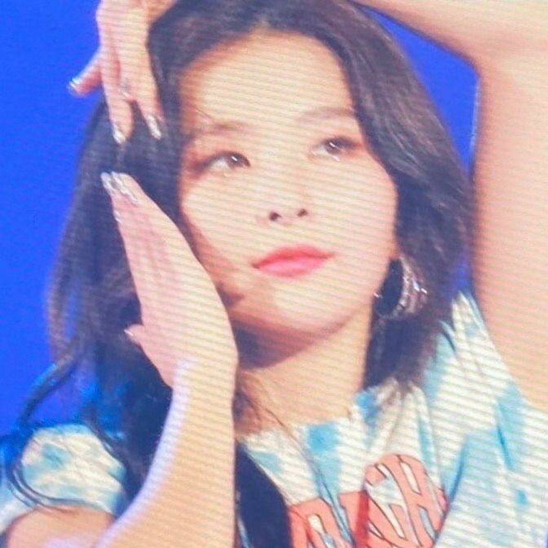 Moda seulgi icon