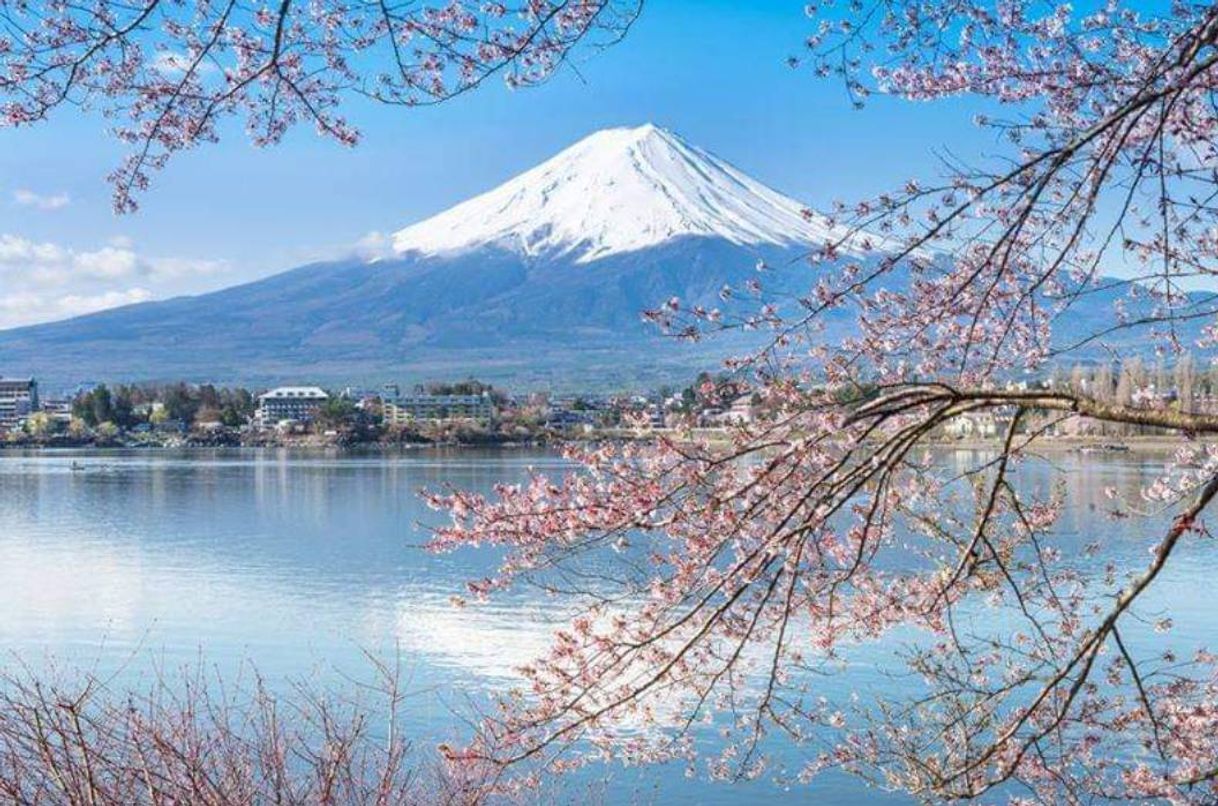 Place Mount Fuji